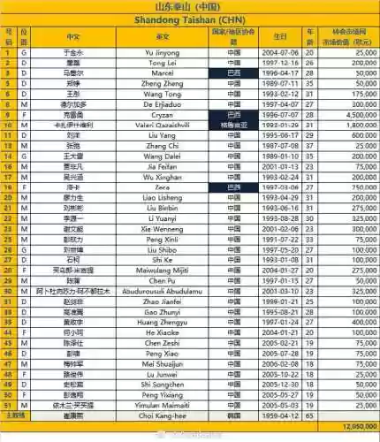 泰山队亚冠参赛阵容(山东泰山队的最新消息)