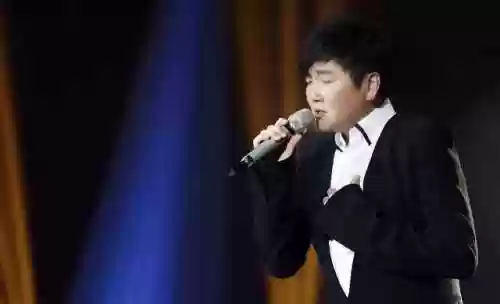 我是歌手最佳阵容是谁(我们的歌第二季阵容)插图34