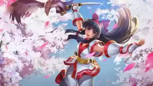 哪个阵容适合娜可露露大招(娜可露露最佳搭档)