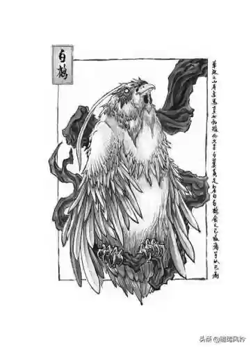 108只神兽大全(宝可梦98只神兽图片)插图1