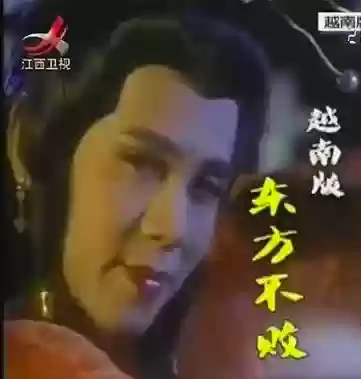 越南最丑阵容(越南最丑网红整容)插图6