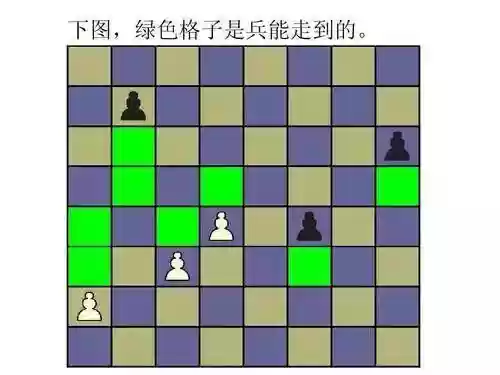 国际象棋教程(国际象棋3d战斗版)插图17