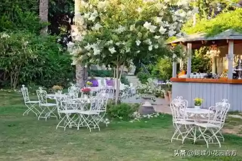 花园新手阵容(植物大战僵尸花园无尽模式最佳阵容)插图3