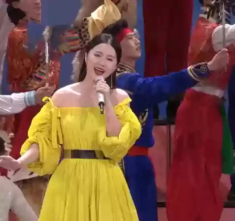 春晚阵容衣服(春节联欢晚会同款衣服图片)插图30