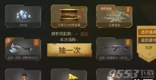 王者轮回网址(cf王者轮回最新版)插图1