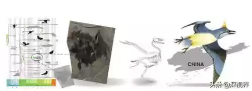 哥斯拉进化史(哥斯拉最终形态)插图10
