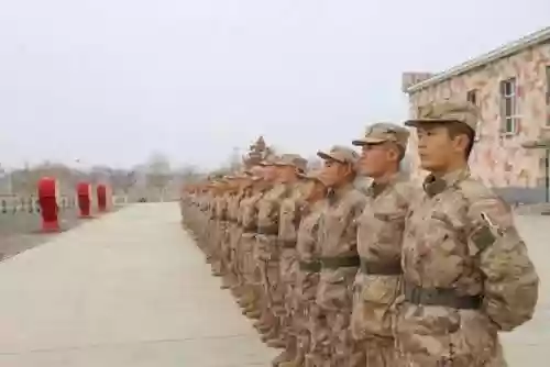 新兵驱散阵容(散兵配什么阵容最强)