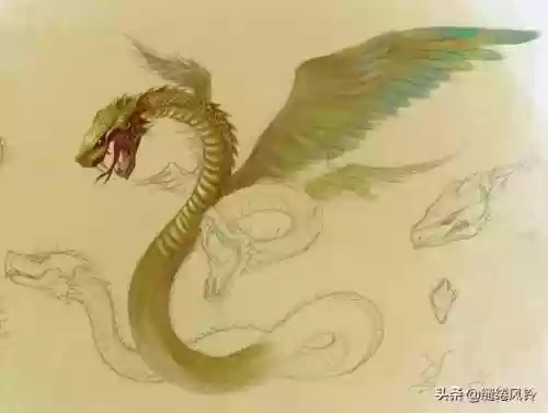 108只神兽大全(宝可梦98只神兽图片)插图58