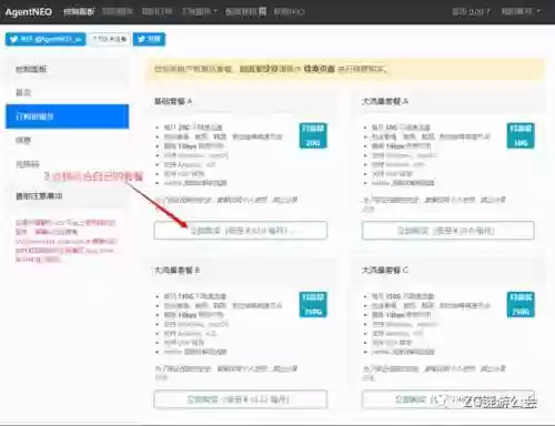 阿蟹3000阵容(咸鱼之王6000推图阵容最新)插图4