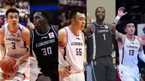 辽宁队今年的阵容分析吧(辽宁男篮是国家队吗)插图18