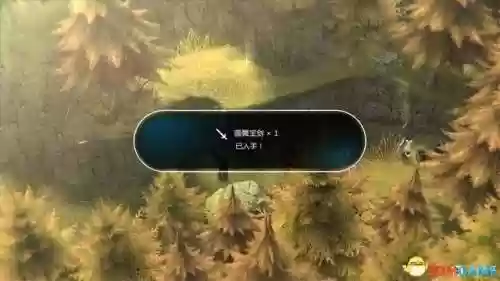 失落的宝藏任务(帮盗贼找回失落的宝物任务)插图70