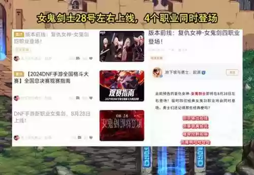 dnf剑豪是什么职业(dnf剑豪带巨剑还是光剑)