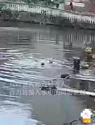 勇者无畏最佳阵容(我的队伍勇往直前阵容推荐)插图3