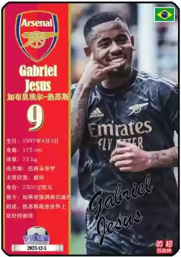 阿森纳阵容2023最新阵容(阿森纳新门将首个赛季即成最佳)插图12 阿森纳阵容2023最新阵容(阿森纳新门将首个赛季即成最佳)插图12