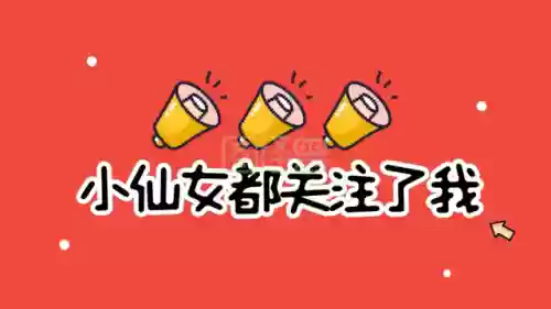 海盗阵容输了(海岛争霸能上名人的阵容)插图4