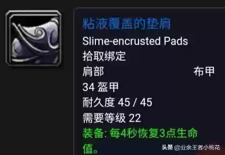 大德鲁伊纳拉雷克斯(魔兽世界纳拉雷克斯)插图13
