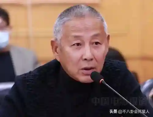 老年全明星阵容名单(历届全明星阵容)插图14