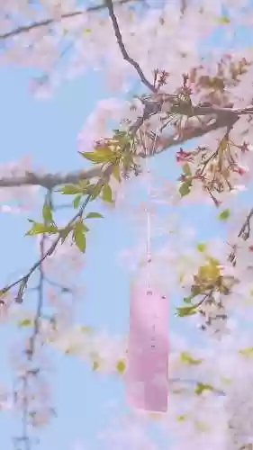 部落冲突9本绿化阵容对比(部落冲突复制阵型)插图19
