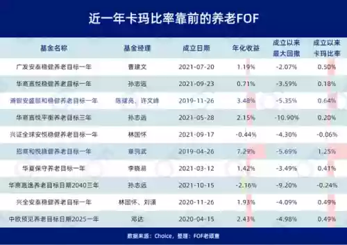 2050阵容(2021新秀最佳阵容)插图3