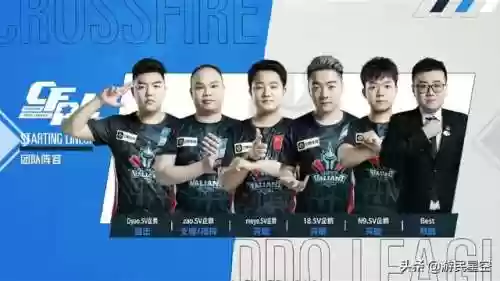职业排位枪法阵容(王者五排阵容)插图3