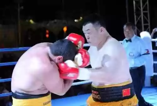 中国拳王第一名是谁(中国拳击手前十排名)插图10