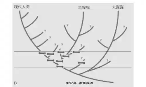 无限世界进化史(无限恐怖之新的崛起)插图6