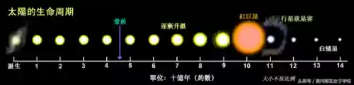 太阳阵容易(宝可梦t0阵容)插图5
