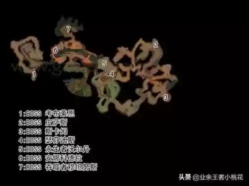 大德鲁伊纳拉雷克斯(魔兽世界纳拉雷克斯)插图2