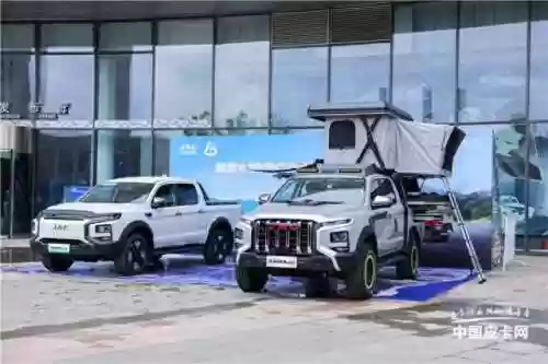 玩皮卡阵容(四驱皮卡车大全)