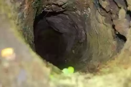 熔岩大树阵容(屋顶困难模式最佳阵容)插图2