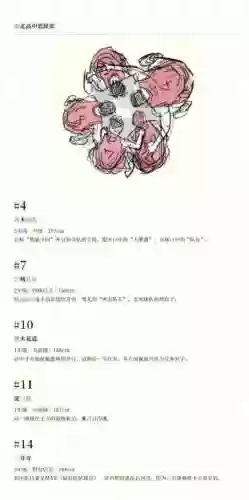 灌篮高手2022百度云网盘(灌篮高手2022BD1080p)插图1