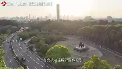 神兽是什么意思(神兽在家文案幽默句子)插图33