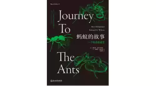 强大的阵容震撼人心的词语(形容阵容强大的句子)插图8