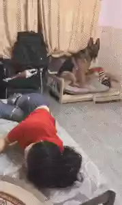 逗比搞笑图片(怎么在手机上玩逗比危机)插图21