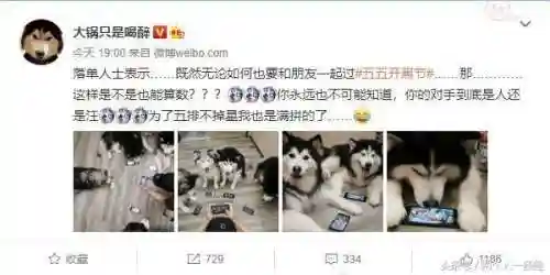 如何碰上猪队友阵容(遇到猪一样的队友怎么办)