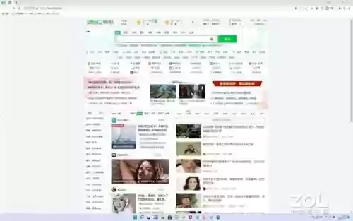 最好的浏览器是什么浏览器(比较开放的浏览器)插图24