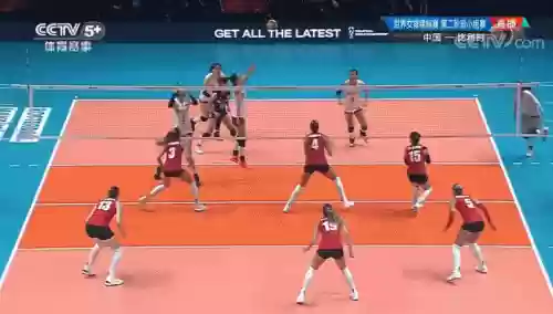 中国比利时女排阵容(奥运女排八强对阵)插图2