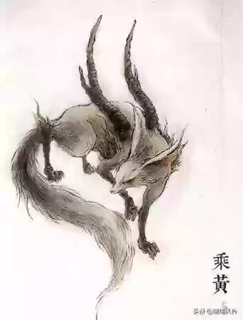 108只神兽大全(宝可梦98只神兽图片)插图10