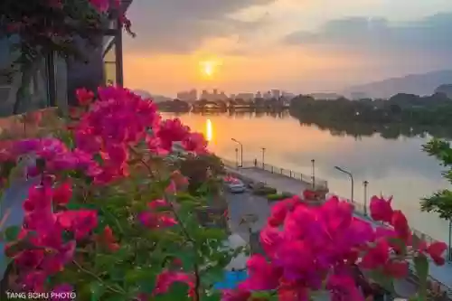 1500元一晚有多漂亮(1000块钱睡个女的一觉贵吗)插图6
