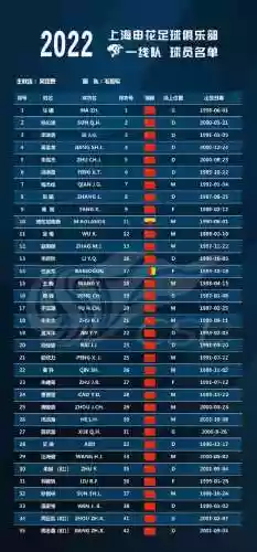 2022申花阵容(申花退役球员名单)插图2