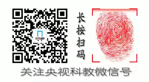 素蒸音声部厨艺阵容(素蒸音声部是什么菜)插图9