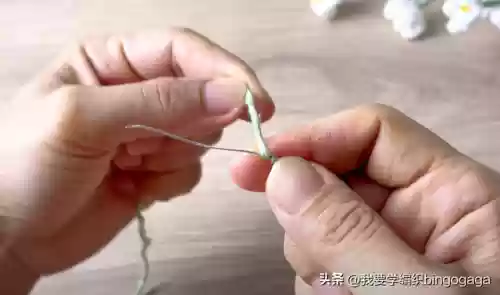 满天星花束(满天星花语及寓意)插图14