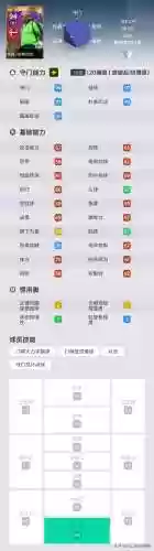 阵容评分99(宝可梦t0阵容)插图1