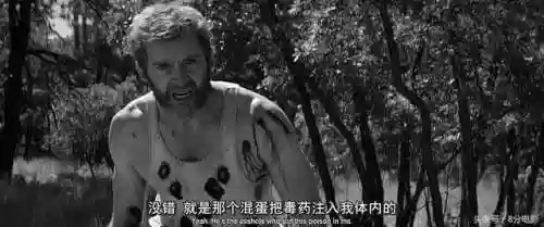 金刚狼3为什么所有变种人都没了(金刚狼3怎么突然就老了)插图41
