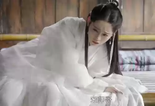 倚天屠龙记周芷若被丐帮哪一集(张无忌与周芷若成亲是哪一集)插图1 倚天屠龙记周芷若被丐帮哪一集(张无忌与周芷若成亲是哪一集)插图1
