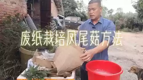 我的开心农场小游戏(游戏大全中的游戏都是什么类型的)