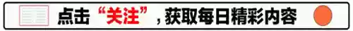 真封神演义攻略秘籍(封神榜游戏攻略完整版)