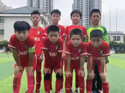 育英最强阵容(土豆英雄最强阵容搭配推荐)插图2