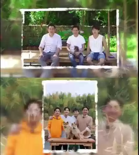 向往的生活5阵容推荐图(植物大战僵尸最强阵容搭配图片)插图7