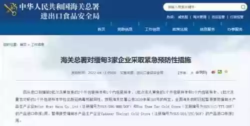 终末圣女 阵容搭配攻略(终焉誓约后期最强阵容)插图2